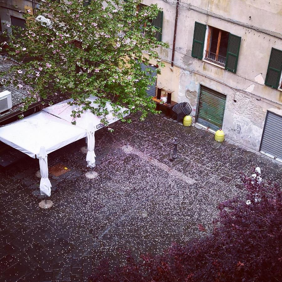 Lavagna Uno Bed & Breakfast Genova Eksteriør bilde